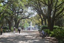 Savanna and Charleston